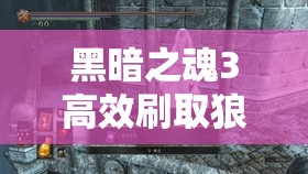 黑暗之魂3高效刷取狼血?jiǎng)Σ莨ヂ?，資源管理策略與刷怪位置詳解