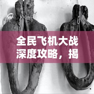 全民飛機(jī)大戰(zhàn)深度攻略，揭秘高效獲取珍稀道具深淵韁繩的秘籍