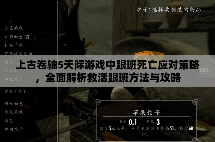上古卷軸5天際游戲中跟班死亡應(yīng)對(duì)策略，全面解析救活跟班方法與攻略
