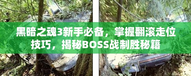 黑暗之魂3新手必備，掌握翻滾走位技巧，揭秘BOSS戰(zhàn)制勝秘籍