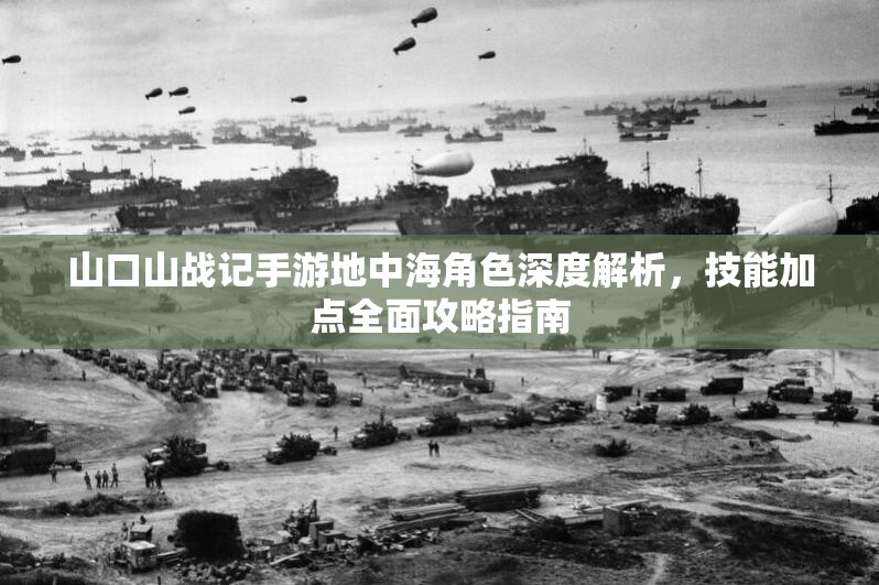 山口山戰(zhàn)記手游地中海角色深度解析，技能加點(diǎn)全面攻略指南