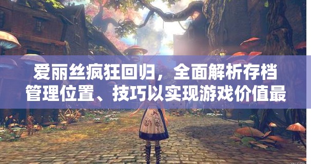 愛麗絲瘋狂回歸，全面解析存檔管理位置、技巧以實(shí)現(xiàn)游戲價(jià)值最大化