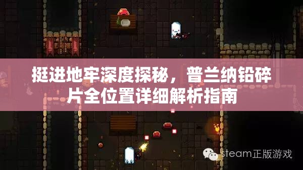 挺進(jìn)地牢深度探秘，普蘭納鉛碎片全位置詳細(xì)解析指南