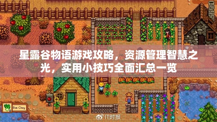 星露谷物語(yǔ)游戲攻略，資源管理智慧之光，實(shí)用小技巧全面匯總一覽
