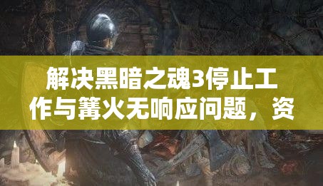 解決黑暗之魂3停止工作與篝火無(wú)響應(yīng)問題，資源管理技巧與重要性探討
