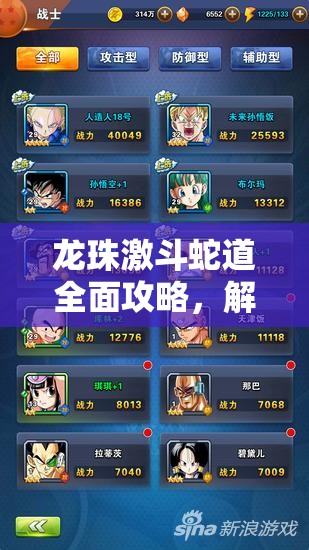 龍珠激斗蛇道全面攻略，解鎖關(guān)卡技巧與高效BUFF選擇智慧之道