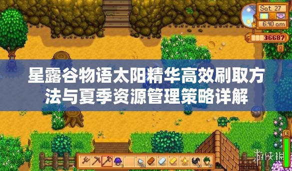 星露谷物語太陽精華高效刷取方法與夏季資源管理策略詳解