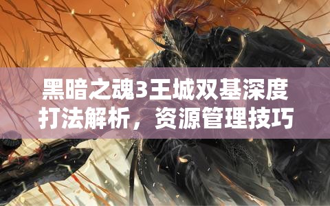 黑暗之魂3王城雙基深度打法解析，資源管理技巧與戰(zhàn)斗價值最大化策略
