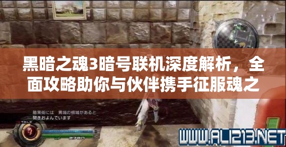 黑暗之魂3暗號聯(lián)機深度解析，全面攻略助你與伙伴攜手征服魂之世界