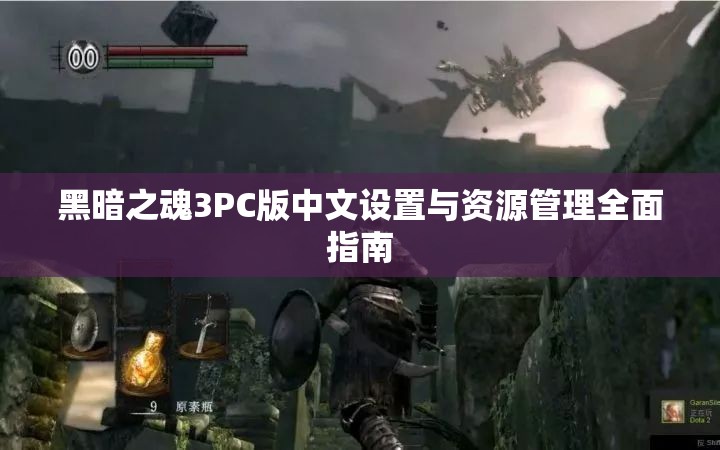 黑暗之魂3PC版中文設(shè)置與資源管理全面指南