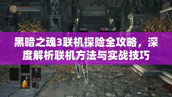 黑暗之魂3聯(lián)機(jī)探險(xiǎn)全攻略，深度解析聯(lián)機(jī)方法與實(shí)戰(zhàn)技巧