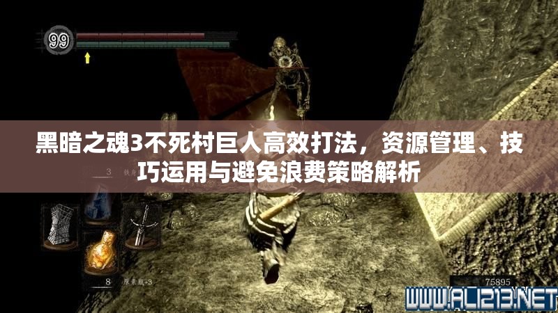 黑暗之魂3不死村巨人高效打法，資源管理、技巧運(yùn)用與避免浪費(fèi)策略解析