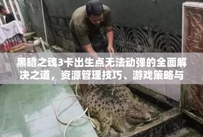 黑暗之魂3卡出生點無法動彈的全面解決之道，資源管理技巧、游戲策略與實用技巧指南