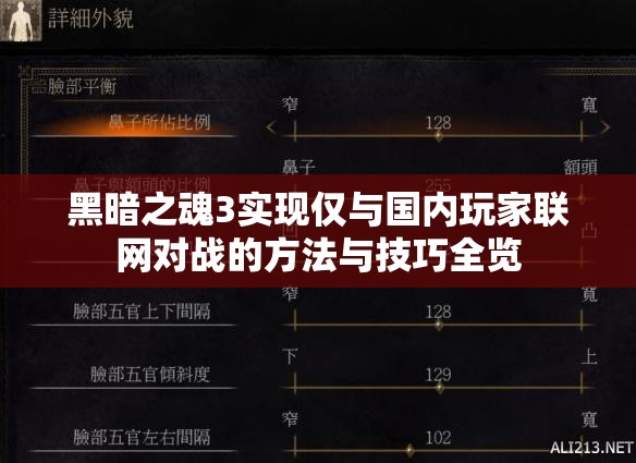 黑暗之魂3實(shí)現(xiàn)僅與國內(nèi)玩家聯(lián)網(wǎng)對戰(zhàn)的方法與技巧全覽