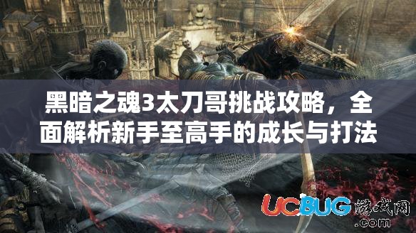 黑暗之魂3太刀哥挑戰(zhàn)攻略，全面解析新手至高手的成長與打法技巧