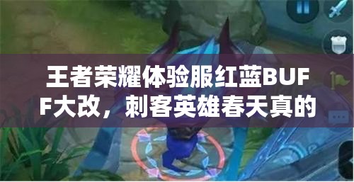 王者榮耀體驗(yàn)服紅藍(lán)BUFF大改，刺客英雄春天真的來了嗎？