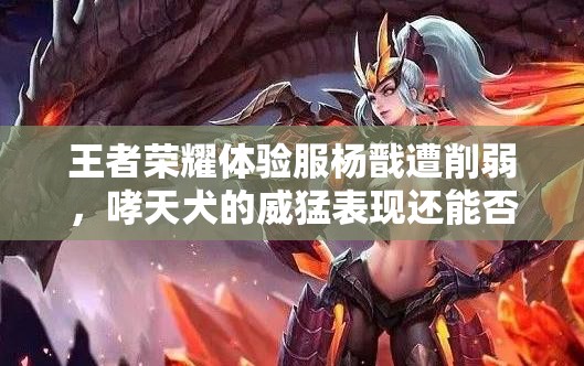 王者榮耀體驗(yàn)服楊戩遭削弱，哮天犬的威猛表現(xiàn)還能否嗨翻全場(chǎng)？