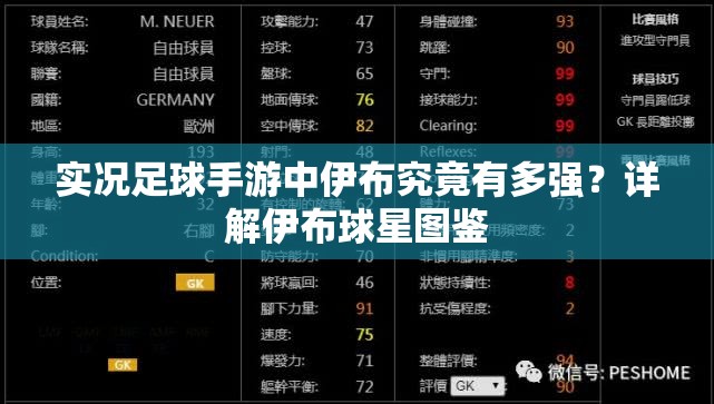 實況足球手游中伊布究竟有多強？詳解伊布球星圖鑒