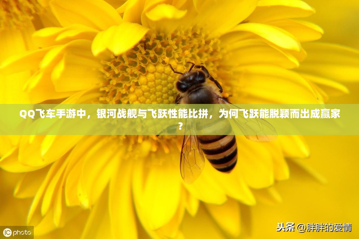 QQ飛車手游中，銀河戰(zhàn)艦與飛躍性能比拼，為何飛躍能脫穎而出成贏家？