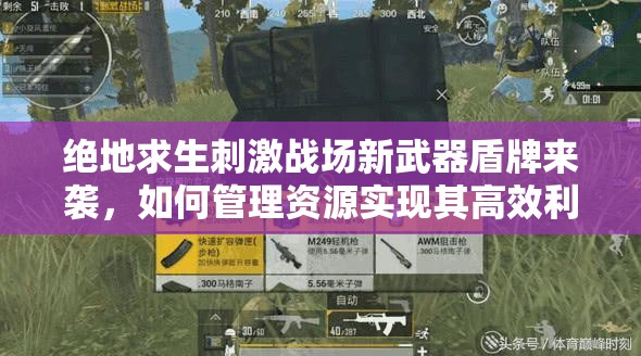 絕地求生刺激戰(zhàn)場(chǎng)新武器盾牌來襲，如何管理資源實(shí)現(xiàn)其高效利用與價(jià)值最大化？