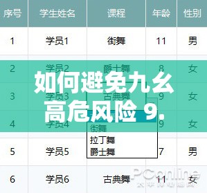如何避免九幺高危風險 9.1 免費版安裝中的坑？教你幾招輕松搞定