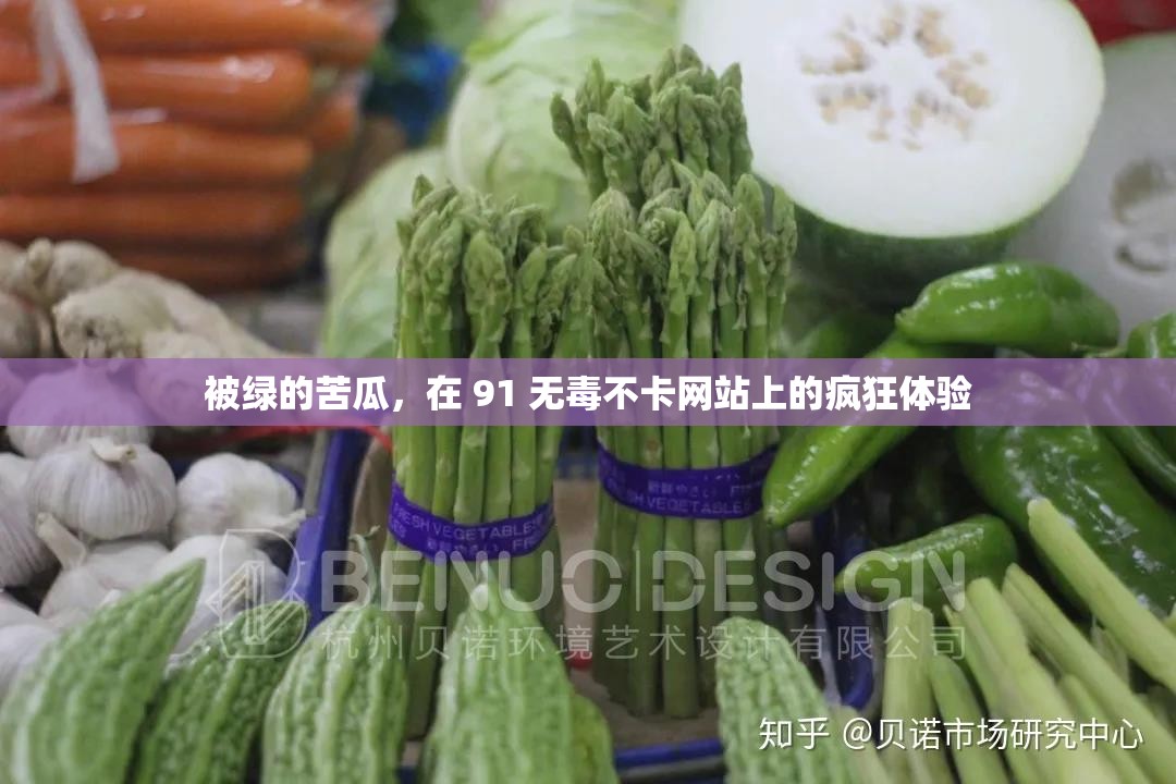 被綠的苦瓜，在 91 無毒不卡網(wǎng)站上的瘋狂體驗(yàn)