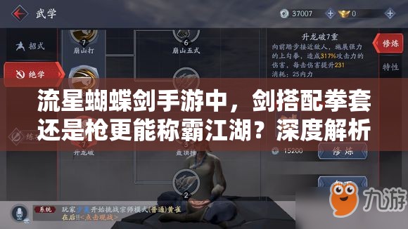 流星蝴蝶劍手游中，劍搭配拳套還是槍更能稱霸江湖？深度解析揭秘！