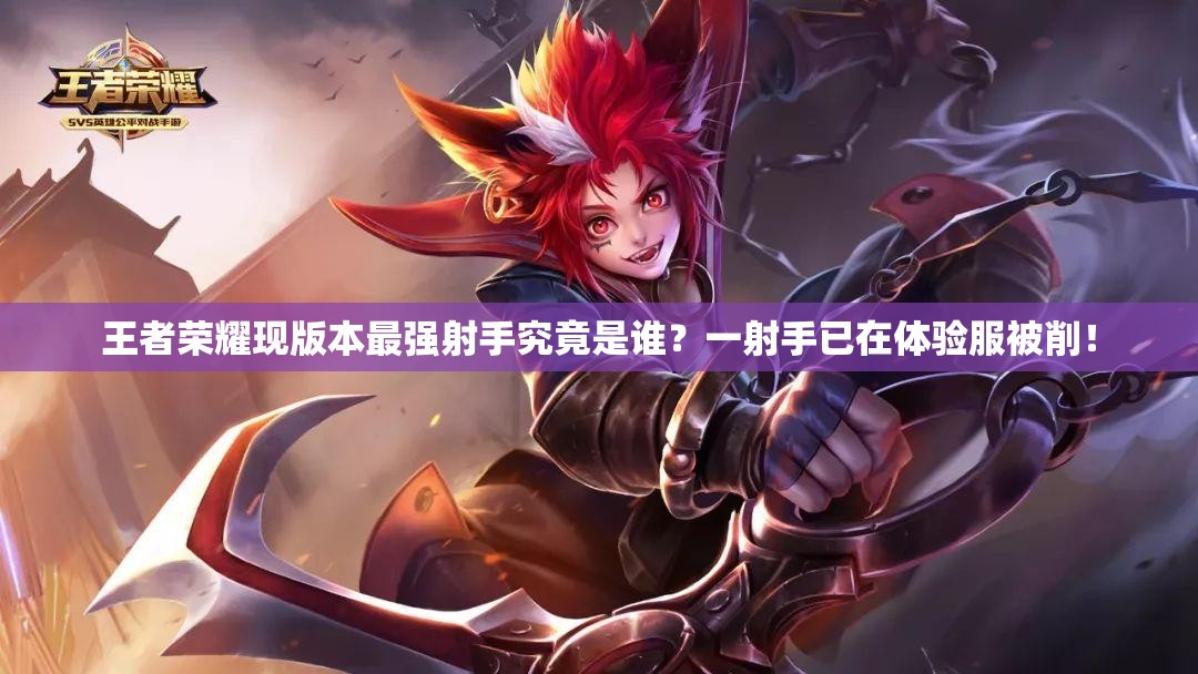 王者榮耀現(xiàn)版本最強(qiáng)射手究竟是誰？一射手已在體驗服被削！