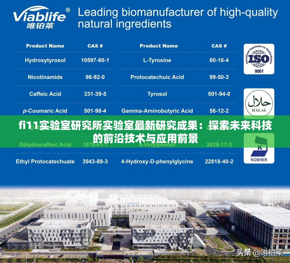fi11實驗室研究所實驗室最新研究成果：探索未來科技的前沿技術與應用前景