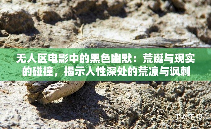 無人區(qū)電影中的黑色幽默：荒誕與現(xiàn)實(shí)的碰撞，揭示人性深處的荒涼與諷刺