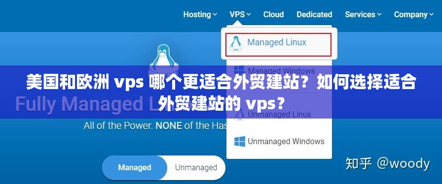 美國和歐洲 vps 哪個更適合外貿(mào)建站？如何選擇適合外貿(mào)建站的 vps？