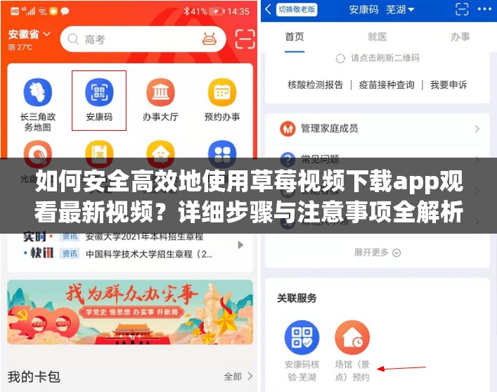 如何安全高效地使用草莓視頻下載app觀看最新視頻？詳細(xì)步驟與注意事項(xiàng)全解析