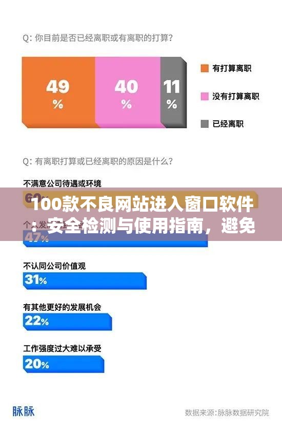 100款不良網(wǎng)站進(jìn)入窗口軟件：安全檢測與使用指南，避免網(wǎng)絡(luò)風(fēng)險(xiǎn)與隱私泄露問題