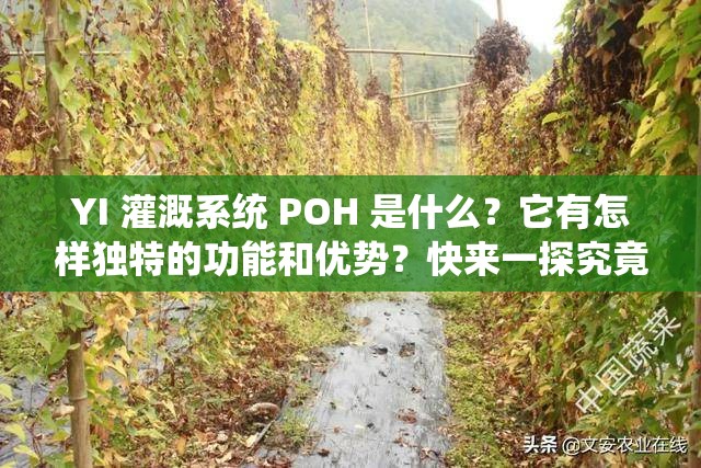 YI 灌溉系統(tǒng) POH 是什么？它有怎樣獨(dú)特的功能和優(yōu)勢？快來一探究竟