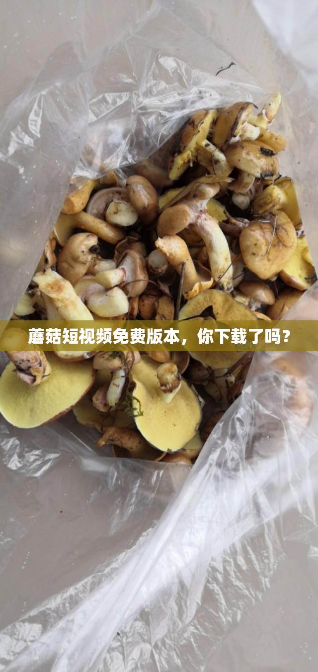 蘑菇短視頻免費(fèi)版本，你下載了嗎？