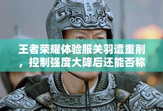 王者榮耀體驗服關羽遭重削，控制強度大降后還能否稱霸戰(zhàn)場？