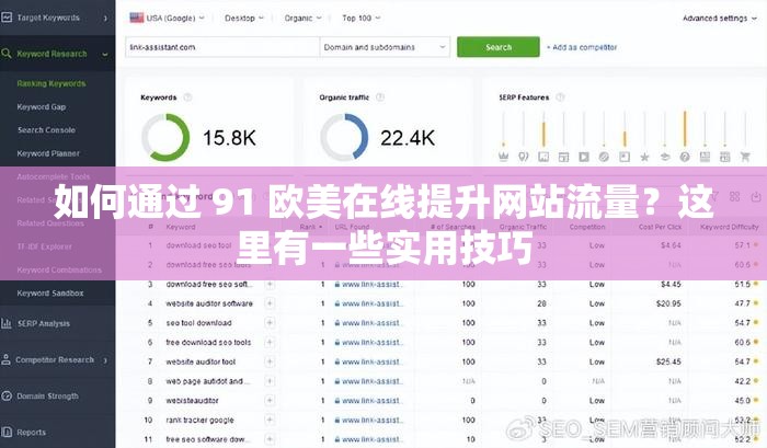 如何通過 91 歐美在線提升網(wǎng)站流量？這里有一些實(shí)用技巧