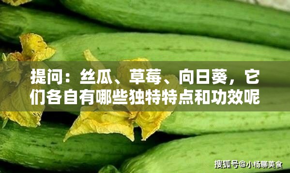 提問：絲瓜、草莓、向日葵，它們各自有哪些獨(dú)特特點(diǎn)和功效呢？