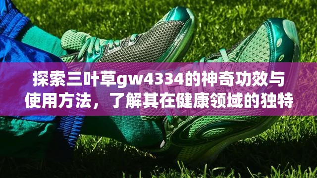 探索三葉草gw4334的神奇功效與使用方法，了解其在健康領(lǐng)域的獨(dú)特優(yōu)勢(shì)
