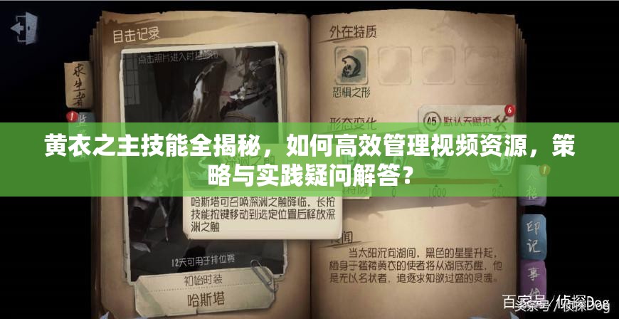 黃衣之主技能全揭秘，如何高效管理視頻資源，策略與實(shí)踐疑問解答？
