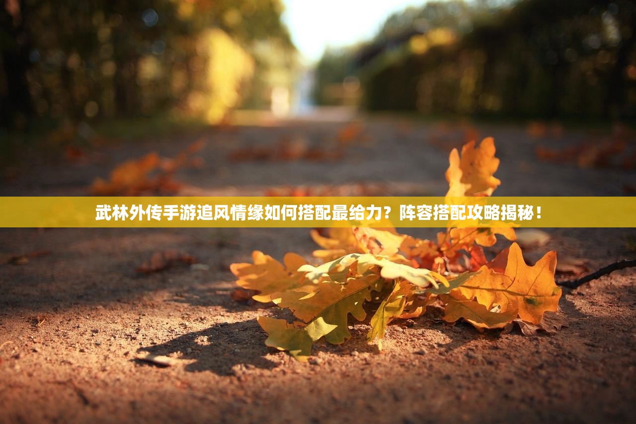 武林外傳手游追風(fēng)情緣如何搭配最給力？陣容搭配攻略揭秘！