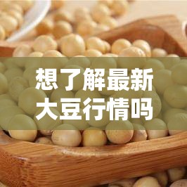 想了解最新大豆行情嗎？快來大豆行情網(wǎng) 51dadou2024 一探究竟