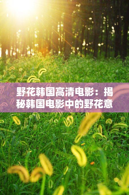 野花韓國高清電影：揭秘韓國電影中的野花意象與文化內(nèi)涵
