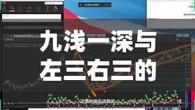 九淺一深與左三右三的完美搭配技巧：深度解析如何實(shí)現(xiàn)最佳效果與體驗(yàn)