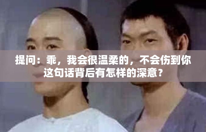 提問：乖，我會(huì)很溫柔的，不會(huì)傷到你這句話背后有怎樣的深意？