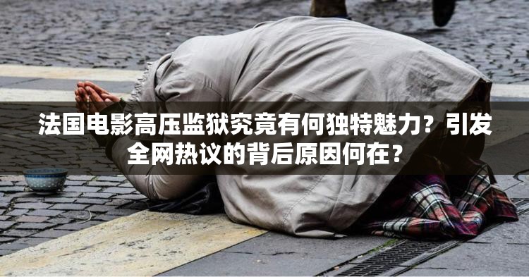 法國電影高壓監(jiān)獄究竟有何獨特魅力？引發(fā)全網(wǎng)熱議的背后原因何在？