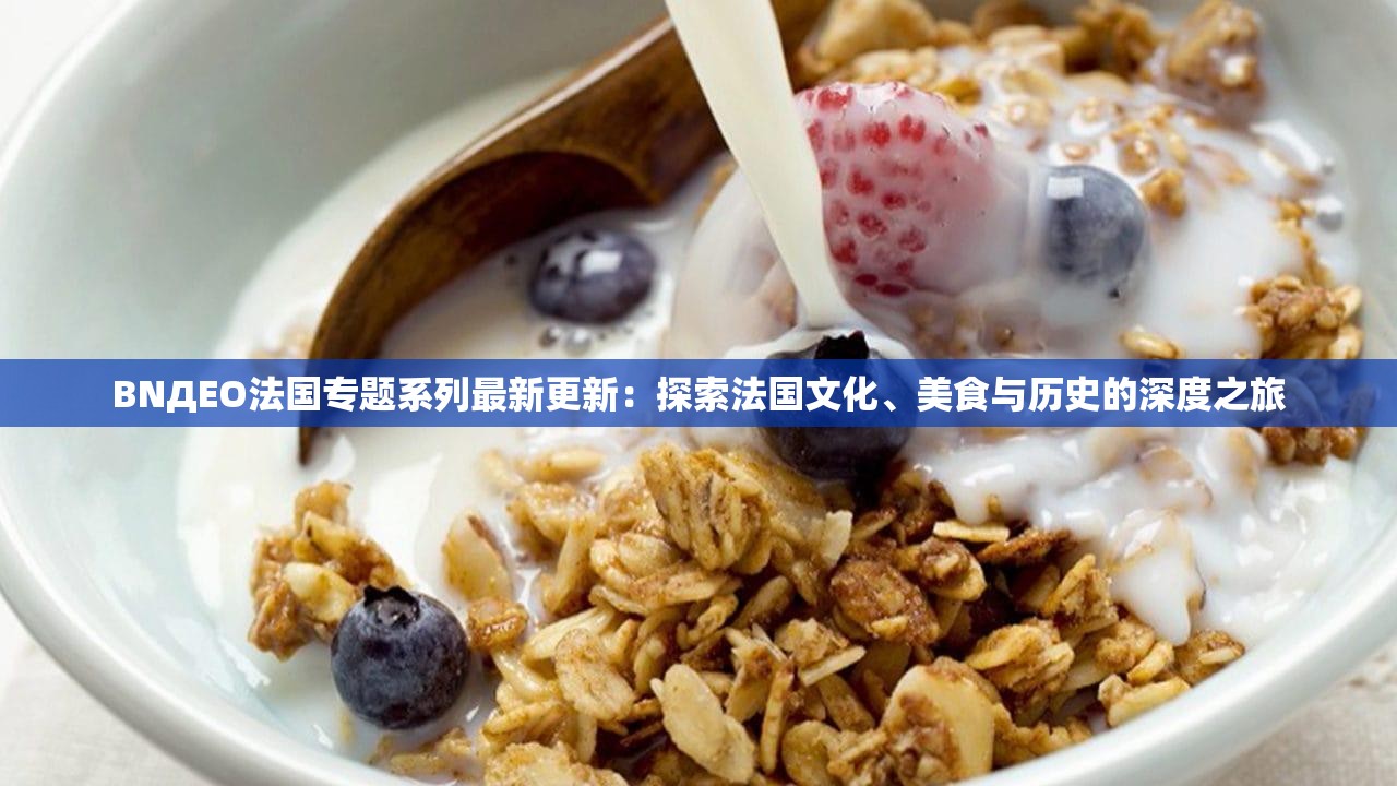 BNДEO法國專題系列最新更新：探索法國文化、美食與歷史的深度之旅