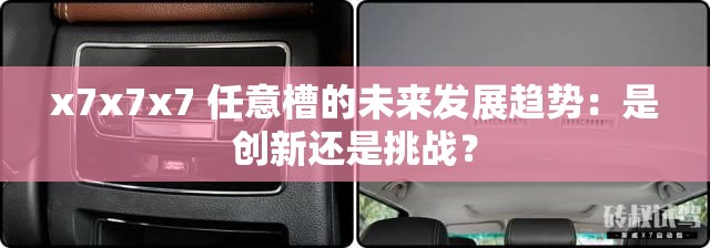x7x7x7 任意槽的未來發(fā)展趨勢：是創(chuàng)新還是挑戰(zhàn)？