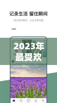 2023年最受歡迎的十大免費(fèi)交友軟件推薦，輕松找到志同道合的朋友