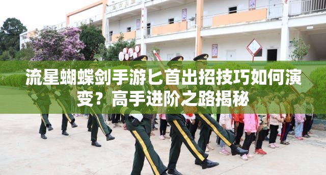 流星蝴蝶劍手游匕首出招技巧如何演變？高手進階之路揭秘